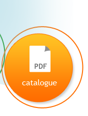 Katalog